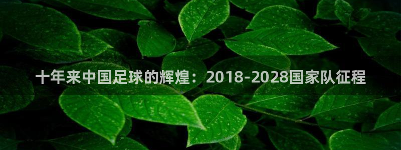 2026年世界杯赛程时间表格：十年来中国足球的辉煌：2018-2028国家队征程