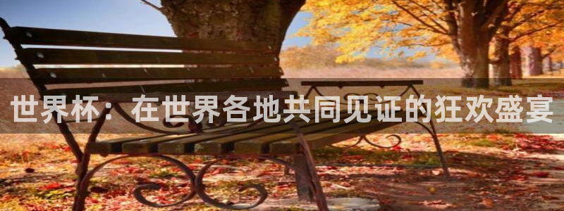 世界杯 中国：世界杯：在世界各地共同见证的狂欢盛宴