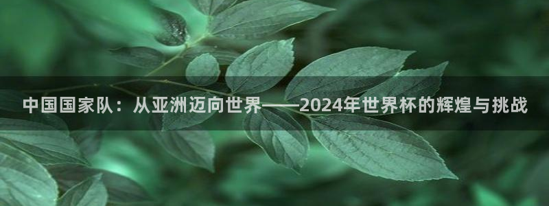 世界直播：中国国家队：从亚洲迈向世界——2024年世界杯的辉煌与挑战