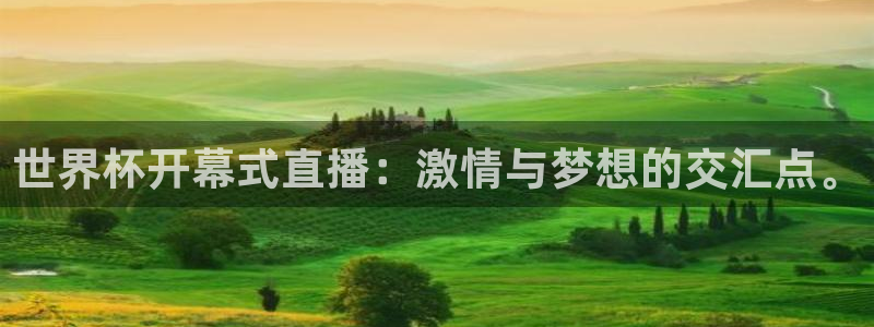 世界杯预选赛欧洲：世界杯开幕式直播：激情与梦想的交汇点。