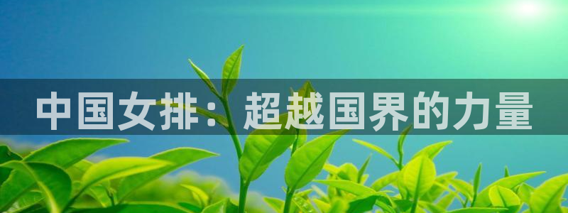 世界杯欧洲区赛程：中国女排：超越国界的力量