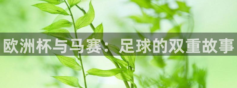 2026世界杯赛程时间表最新：欧洲杯与马赛：足球的双重故事