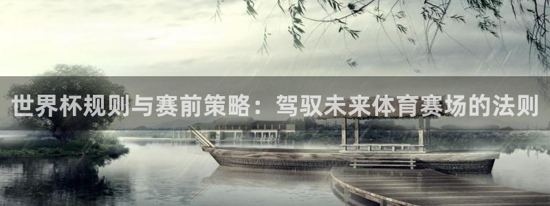 世界杯：世界杯规则与赛前策略：驾驭未来体育赛场的法则