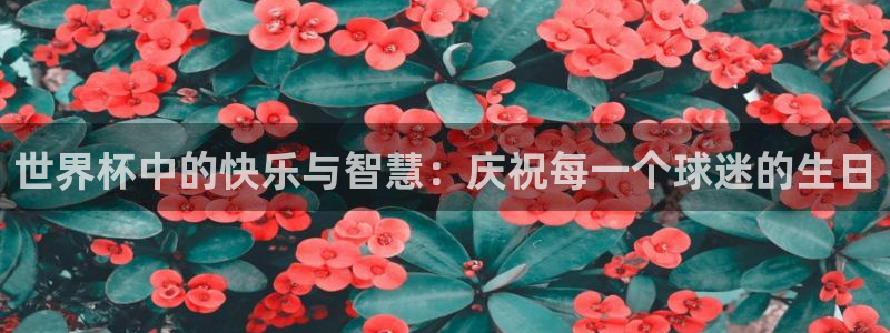 世预赛直播：世界杯中的快乐与智慧：庆祝每一个球迷的生日