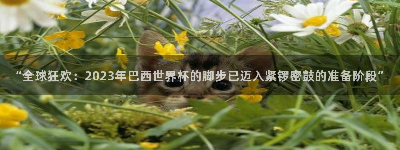世界杯女足直播：“全球狂欢：2023年巴西世界杯的脚步已迈入紧锣密鼓的准备阶段”