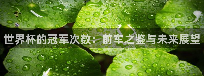 世界杯第一场比赛：世界杯的冠军次数：前车之鉴与未来展望