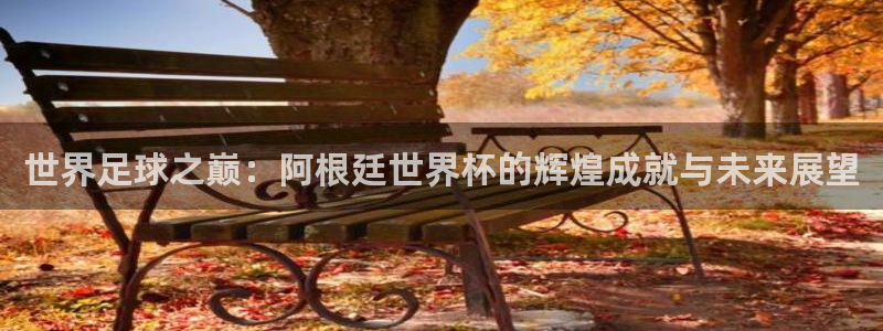2026世界杯赛程表完整版：世界足球之巅：阿根廷世界杯的辉煌成就与未来展望