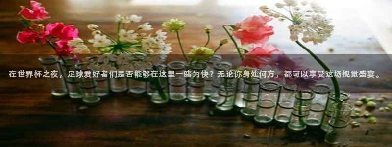 世界杯足球赛2026赛程时间：在世界杯之夜，足球爱好者们是否能够在这里一睹为快？无论你身处何方，都可以享受这场视觉盛宴。