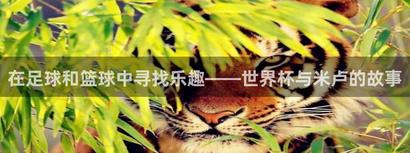 2026世界杯足球赛程时间表：在足球和篮球中寻找乐趣——世界杯与米卢的故事
