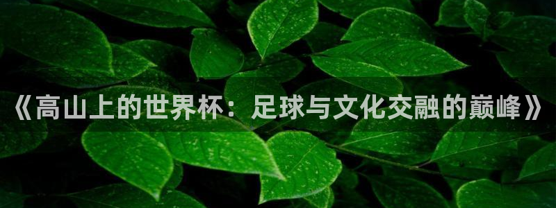 世界杯官网：《高山上的世界杯：足球与文化交融的巅峰》